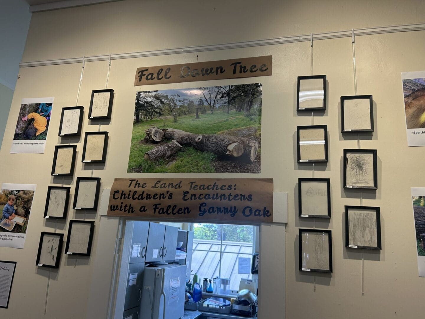 Exhibit of children's art and fallen tree.